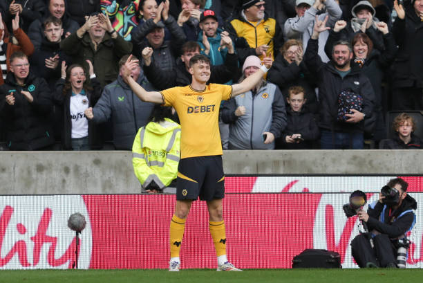 球迷的期待 球迷的期待